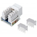 Conector Keystone RJ45 Cat.6 UTP hembra panel (Bolsa 25 unidades) - CON730