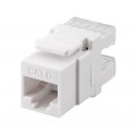 Conector Keystone RJ45 Cat.6 UTP hembra tool-less (25 unidades) - CON1160