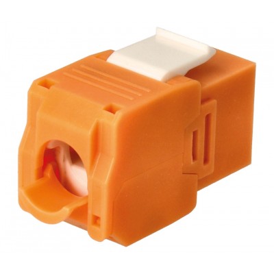 Conector Keystone RJ45 Cat.6 UTP hembra tool-less (25 unidades) - CON1163