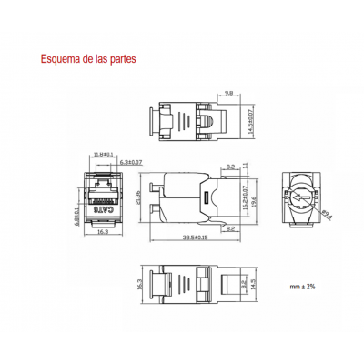 Conector Keystone RJ45 Cat.6 FTP hembra tool-less 180º (10 unidades) - CON1165