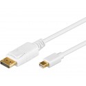 Conexión DisplayPort macho a Mini DisplayPort macho, 1M - WIR942
